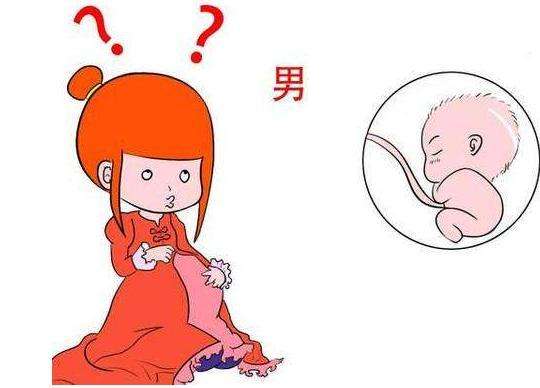 广州能助孕的公司，广州减肚子手术价格