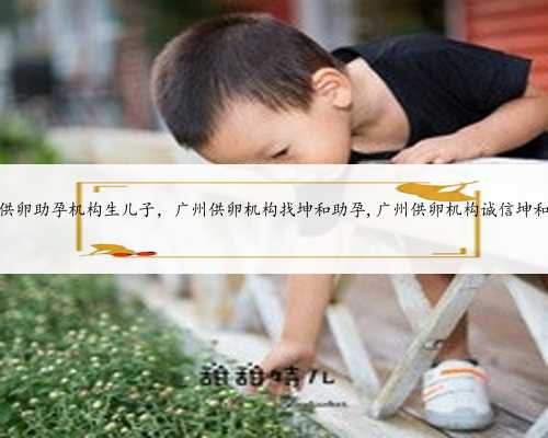 广州供卵助孕机构生儿子，广州供卵机构找坤和助孕,广州供卵机构诚信坤和助