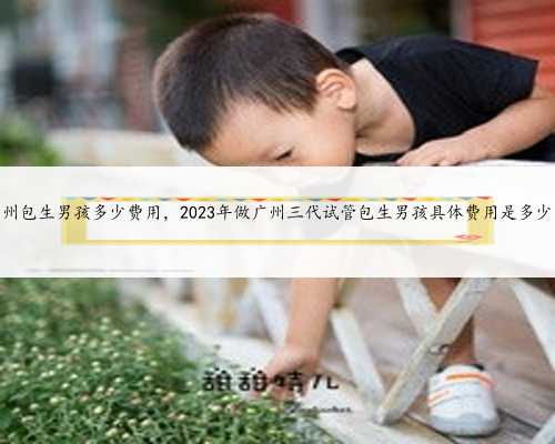 广州包生男孩多少费用，2023年做广州三代试管包生男孩具体费用是多少？