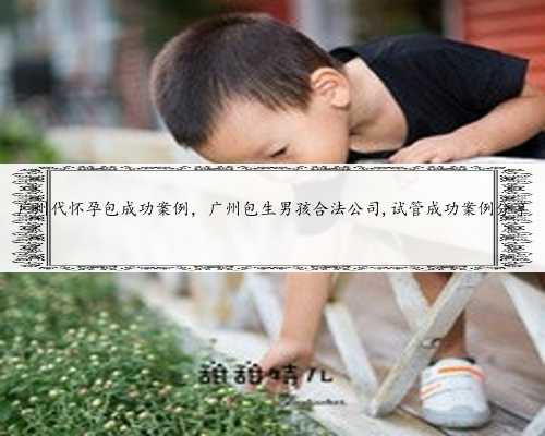 广州代怀孕包成功案例，广州包生男孩合法公司,试管成功案例分享