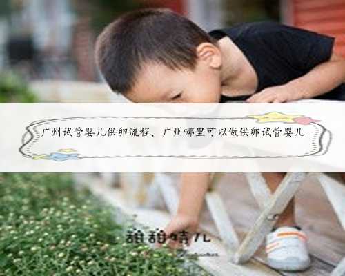 广州试管婴儿供卵流程，广州哪里可以做供卵试管婴儿