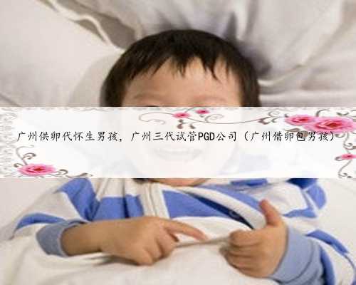 广州供卵代怀生男孩，广州三代试管PGD公司（广州借卵包男孩）