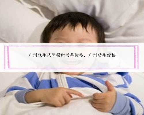 广州代孕试管捐卵助孕价格，广州助孕价格