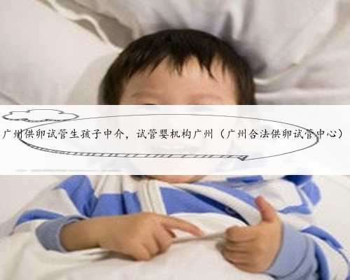 广州供卵试管生孩子中介，试管婴机构广州（广州合法供卵试管中心）