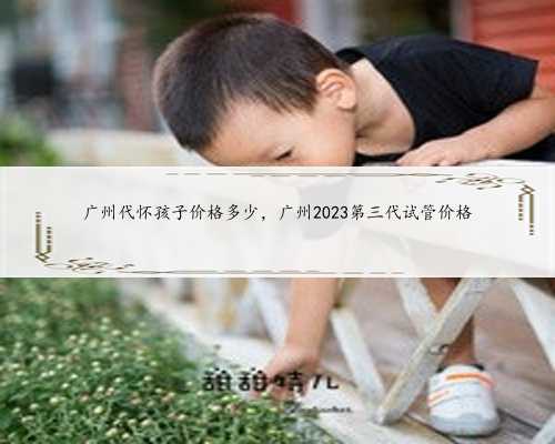 广州代怀孩子价格多少，广州2023第三代试管价格