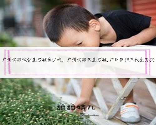 广州供卵试管生男孩多少钱，广州供卵代生男孩,广州供卵三代生男孩