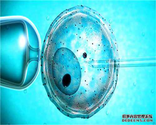 借卵生子最低价格-借腹供卵试管生子是亲生的吗-中国允许供卵试管