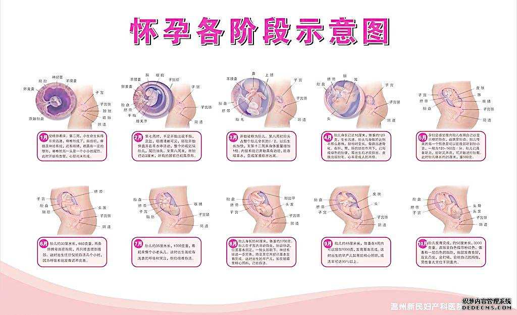 广州哪可以供卵试管,广州查卵巢早衰需要多少钱,【“性”福孕情，完美生】