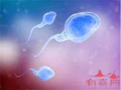 广州医院供卵需要多少钱，试管婴儿保险移植后身体会出现哪些反应？