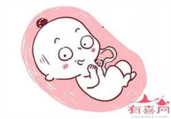 广州借卵试管多少钱，做试管婴儿要多长时间？
