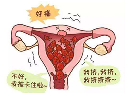 广州代生能选男女吗，羊睾丸怎么吃补肾羊蛋这样做补肾又壮阳