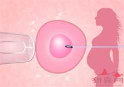广州全国哪个医院有供卵，备孕为什么要提前3个月？你知道原因吗？