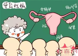 广州去哪里做供卵~广州最好的供卵中心~，男性需注意保养精子做的优生优育