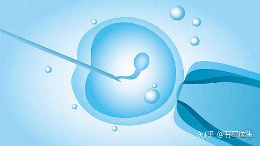 广州助孕机构网站，【广州有哪些供卵机构】11月5号预产期，由于头胎剖腹产