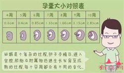 广州如何选择供卵女，广州好的妇科医院_广州治疗卵巢性不孕的医院