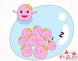 上海有助孕妈妈吗，上海长征医院试管婴儿医生名单，2022助孕成功率高的大夫