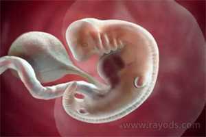 长沙咋捐卵,2023长沙高龄私人助孕机构有哪些？附高龄捐卵风险规避